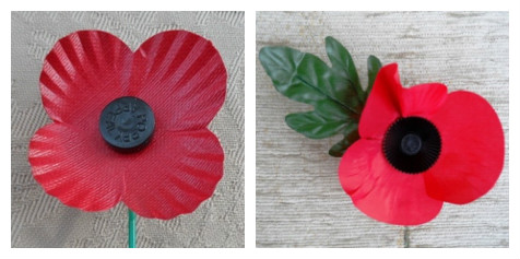 Left: A 2015 Scottish Remembrance Poppy. Right: c2006 Remembrance Poppy from Northern Ireland.